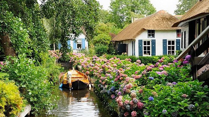 Голландия защищает свои тюльпаны от туристов